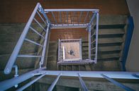 The blue line in the stairwell by Elianne van Turennout thumbnail