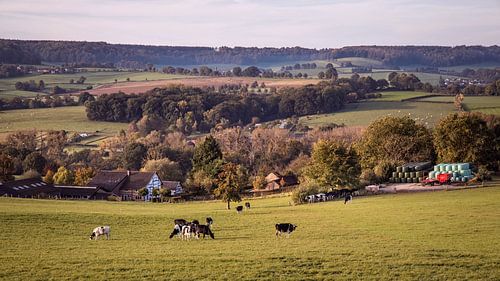 Pays des collines du Limbourg sud à Camerig