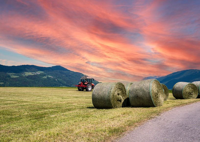 Tracteur lors de la fenaison par Animaflora PicsStock