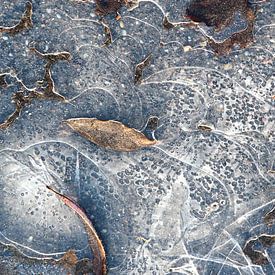 Eisige Geschichten (abstrakte Nahaufnahme von schönen Strukturen und Formen im Eis) von Birgitte Bergman