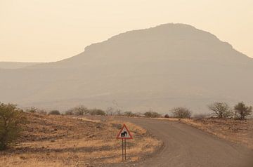 Oppassen voor overstekende olifanten in Namibië van Renzo de Jonge