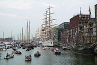 Tall Ships in Amsterdam's Harbour par Dana Marin Aperçu