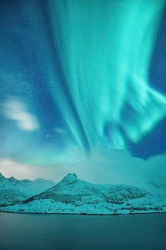 Northern lights over the winter mountains of Lofoten by Rolf Schnepp