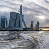 Rotterdam, Erasmus bridge from the water taxi by Ingrid Aanen