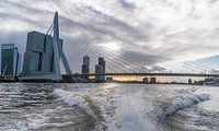 Rotterdam, Erasmusbrug vanaf de watertaxi van Ingrid Aanen thumbnail