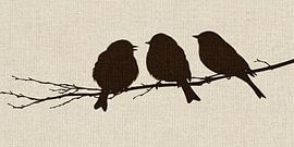 Birds Against Time by Color Square