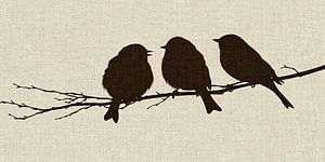 Birds Against Time