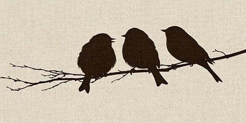 Les oiseaux contre le temps