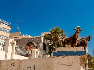 Taghazout Lookout | Marokko Straßen Sammlung | Fine Art | Frisch koloriert von Charif Bennani