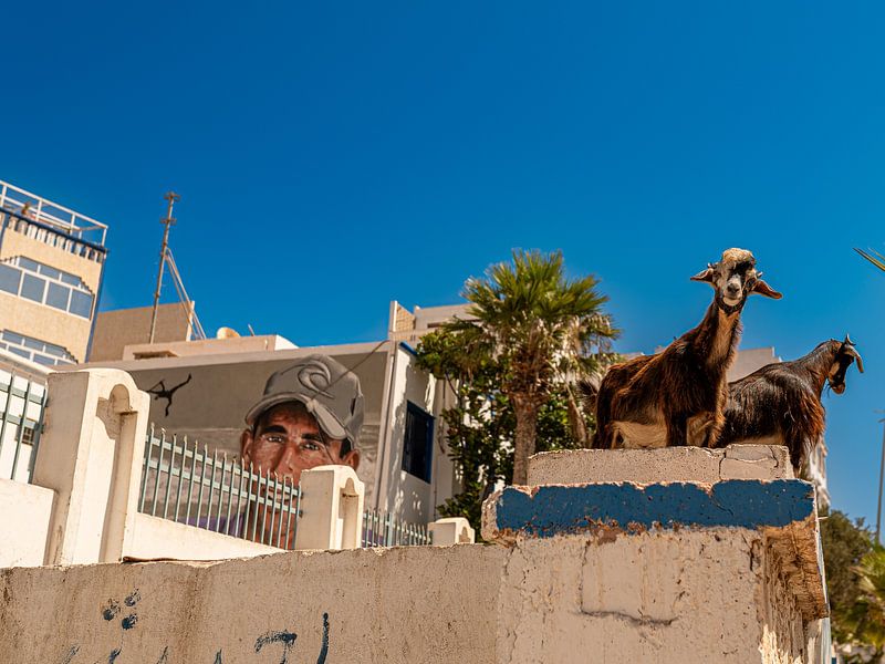 Taghazout Lookout | Maroc Streets Collection | Fine Art | Fresh Coloured par Charif Bennani