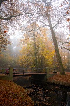 Forêt brumeuse en automne avec pont et vélo