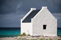 Esclave blanc, Bonaire par Martijn Smeets Aperçu