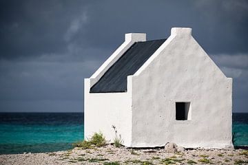 'White Slave', Bonaire by Martijn Smeets