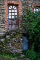 Maison envahie par la végétation