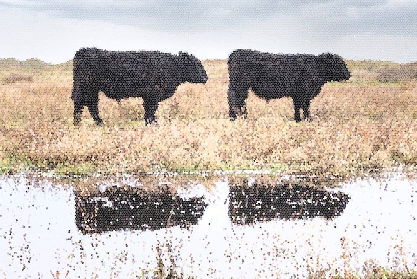 Mosaic cows on Texel by Monique Giling