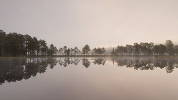 Zweeds symmetrie - bomenrij en opkomende zon aan het meer tijdens een mistige ochtend van Bram Lubbers