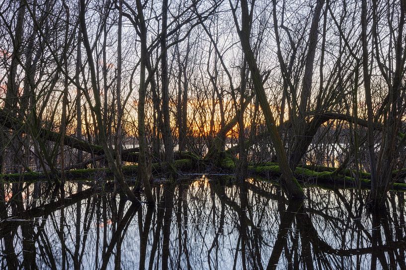Sassenhein - Haren - Groningen (Netherlands) by Marcel Kerdijk