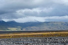 Open view von Beeldig Moment