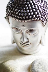 Boeddha hoofd en stenen sur Tanja Riedel