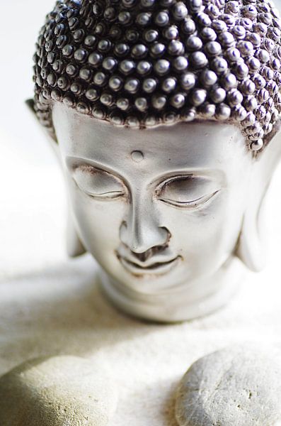 Boeddha hoofd en stenen von Tanja Riedel
