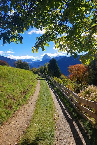 Wanderweg mit Blick auf den Langkofel in Südtirol