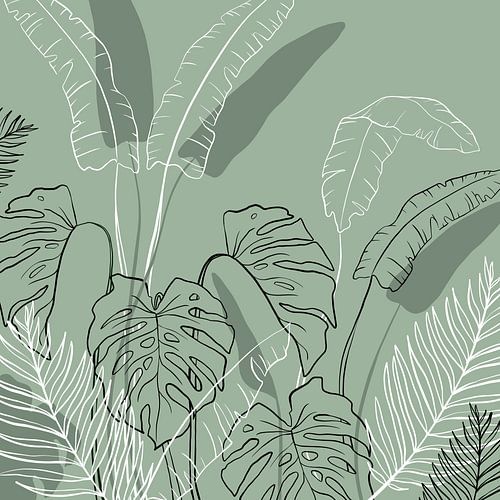 Tropical jungle of Thailand - Montsera Tropics