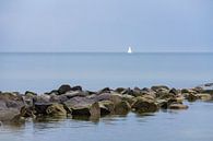 Die Ostseeküste auf der Insel Rügen von Rico Ködder Miniaturansicht