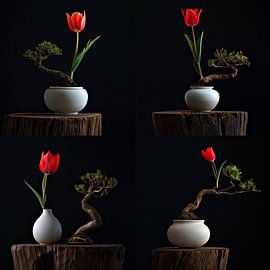 La Tulipe Noire von Harmannus Sijbring