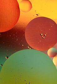 Globe  sur Marcel van Rijn