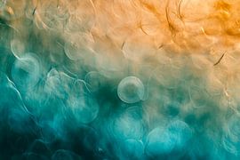 Un monde aquatique haut en couleur sur Poster Art Shop