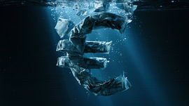 Money like water: a panorama of the euro