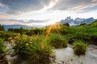 Mountain Landscape "Sunset & Stream" by Coen Weesjes thumbnail