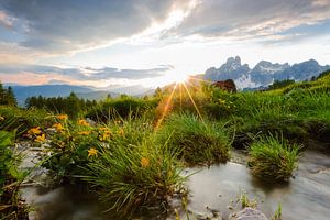 Berglandschaft "Sonnenuntergang & Bach"
