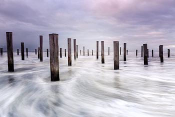 Palendorp Petten