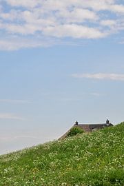Maisonnette sur la digue de l'Ooijpolder sur Caroline Drijber Guérain