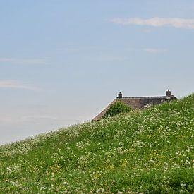 Dijkhuisje Ooijpolder van Caroline Drijber Guérain
