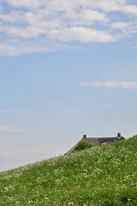 Deichhäuschen Ooijpolder