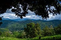 Doi Mae Salong, Provinz Chiang Rai im Norden Thailands