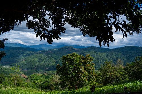 Doi Mae Salong, provincie Chiang Rai in Noord Thailand
