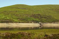 Loch Glascarnoch, ein 7 km langer Stausee von Babetts Bildergalerie Miniaturansicht