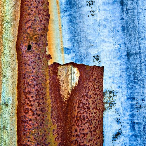 Oergrond - Studie bruin en blauw