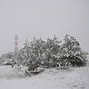 Phare d'Ameland sur Rinnie Wijnstra (FotoAmeland )
