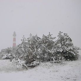 Vuurtoren Ameland van Rinnie Wijnstra (FotoAmeland )