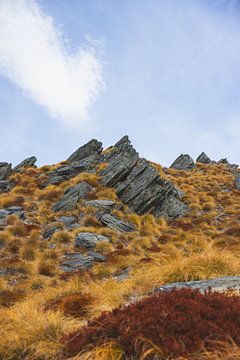 Isthmus Peak: Das Dach Neuseelands von Ken Tempelers