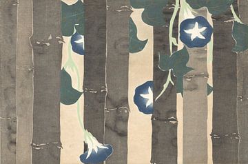 Blauwe winde van Kamisaka Sekka, 1909