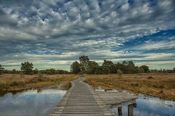 Buurserzand in Twente von Jerry Bouwmeester