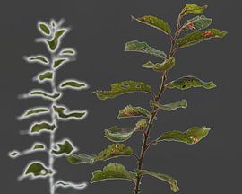 autumn impression by Ruud Otter