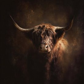 Scottish Highland cattle fine art portrait in warm tones by Lauren Wilde