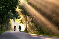 Radfahrer in der Landschaft von Art by Fokje Miniaturansicht