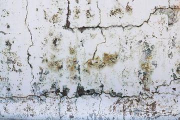 Oude muur vol met scheuren van Yke de Vos